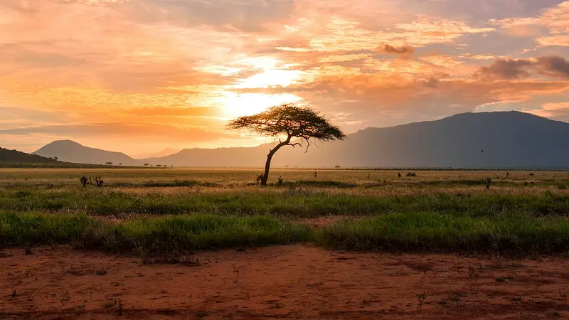 Africa Is Bigger Than the USA, China, India, Japan, and Europe Combined