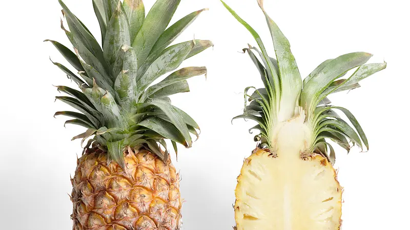 When You Eat Pineapple It Eats You Back