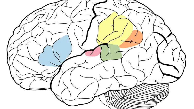 The human brain uses 20 percent of body energy